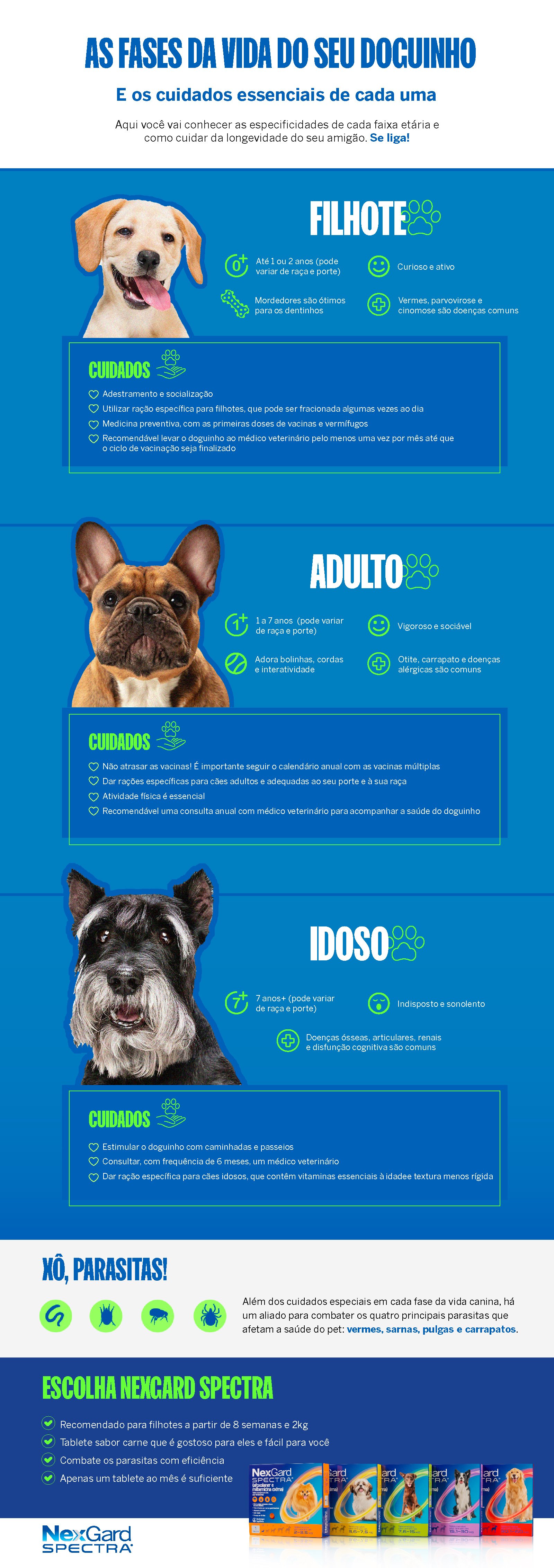 Infográfico